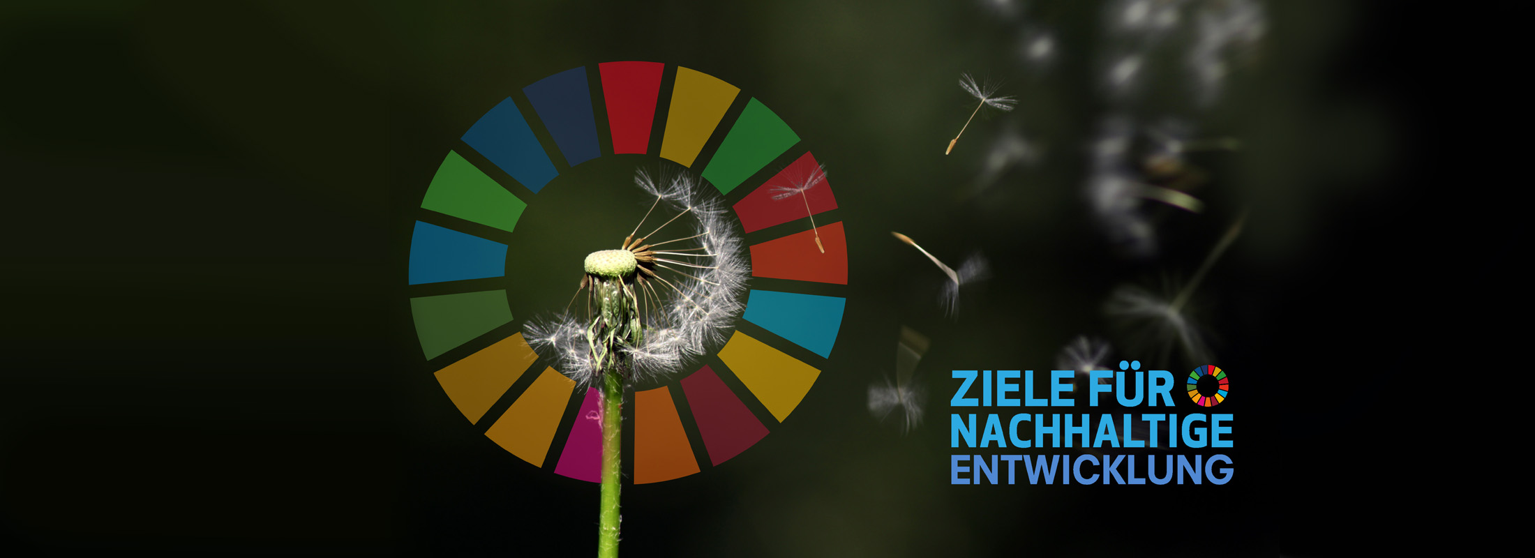 GWÖ_SDGs_2200x800 GWÖ und SDGs