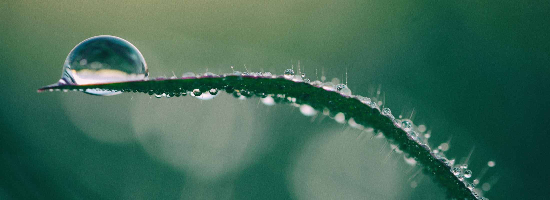 bilanz_unsplash